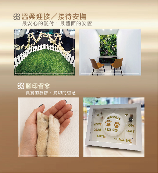 網站像素500x550_工作區域_1_複本_4